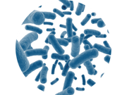 Probiotici
