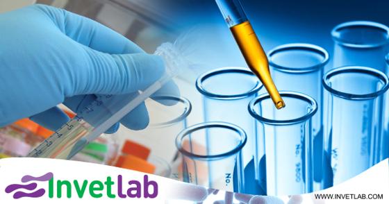 Belgrade Venture Forum