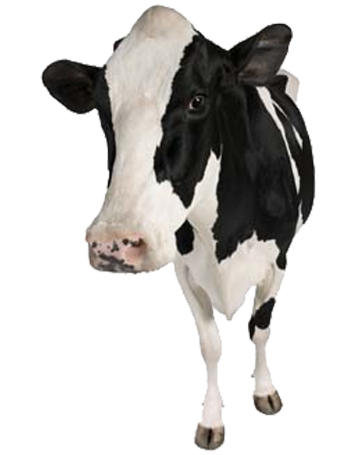Pouzdan za farmske životinje